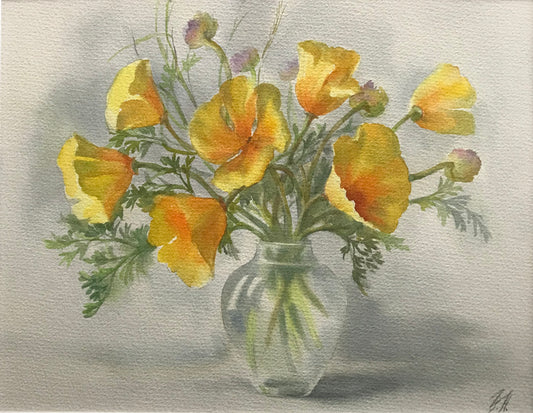 California poppies